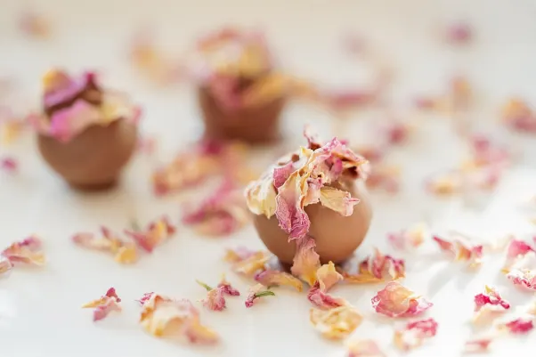 Cresus Casino Aip Android/iOS